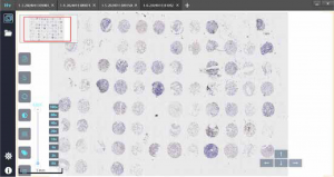 Scanpro2-6 Digital Pathology Section Scanner High Sucess Rate of Scanning -3