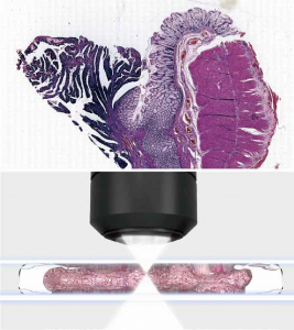 Scanpro2-6 Digital Pathology Section Scanner Depth of Field Fusion Technology-1