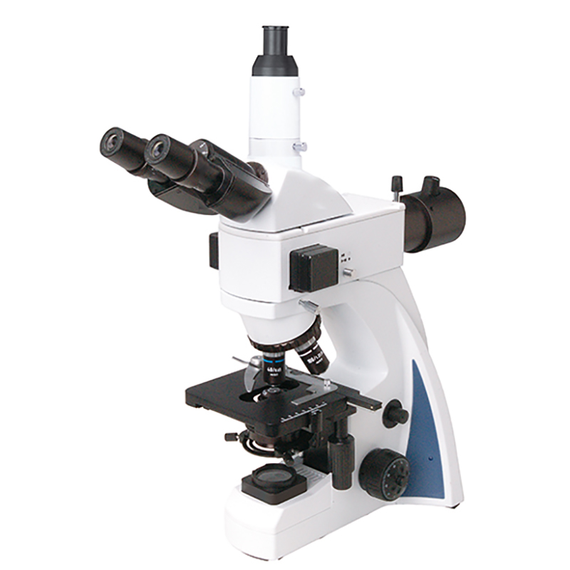 BS-2040FT(LED) Microscope biolojika fluorescent